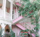 Pink Stairs with Green Leaves